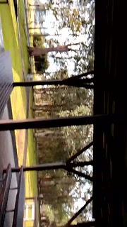 107.mp4