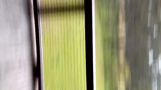 110.mp4